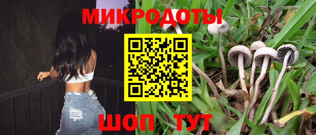 Галлюциногенные грибы MAGIC MUSHROOMS Александров